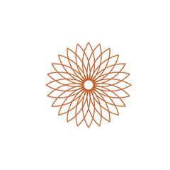 Collection image for: Rosace