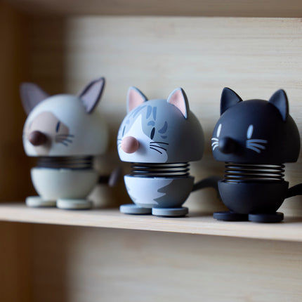 Hoptimist Katze Maine Coon
