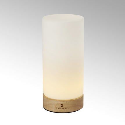 Lambert LED-Leuchte Magicee