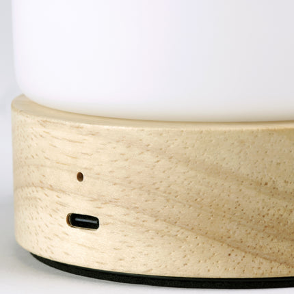 Lambert LED-Leuchte Magicee