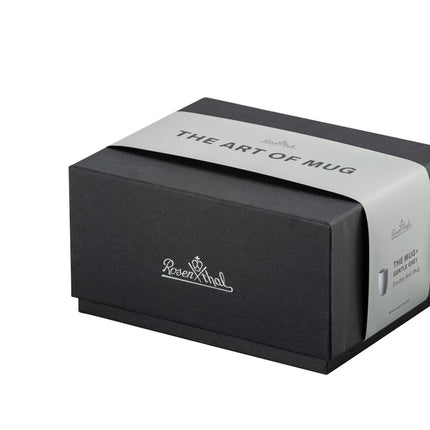 Rosenthal The Mug+ Becher doppelwandig grau