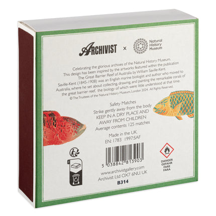 Archivist Streichhölzer Fische