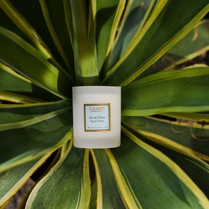 Collines de Provence Duftkerze Aloe Vera 180 g