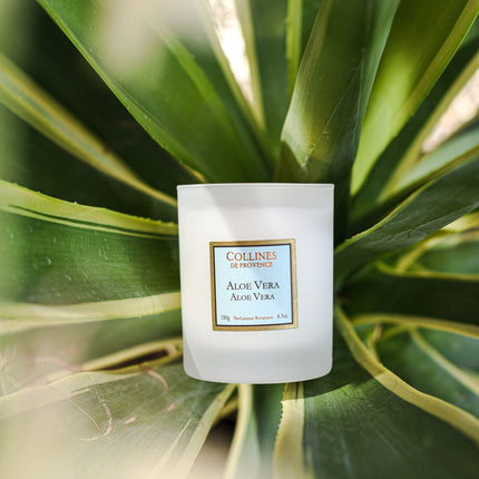 Collines de Provence Duftkerze Aloe Vera 180 g