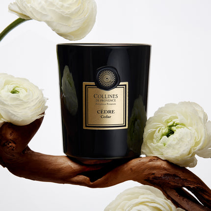 Collines de Provence Duftkerze Zeder 360 g