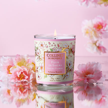 Collines de Provence Duftkerze Sakura Blume 180 g