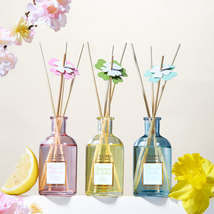 Collines de Provence Raumduft Schmetterlingsblume