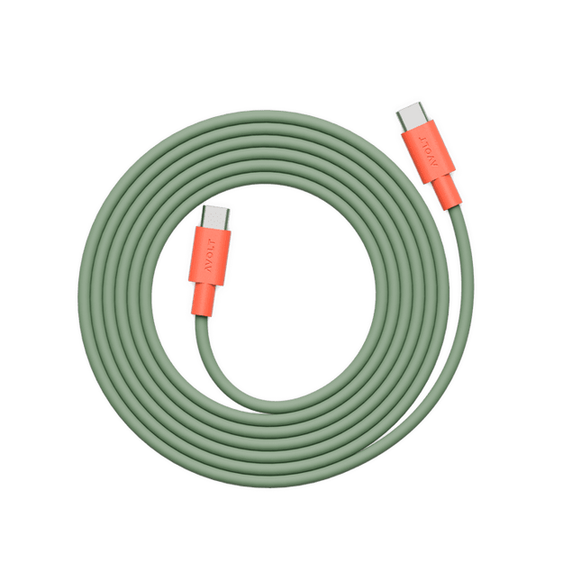 AVOLT Kabel USB-C zu USB-C Cable 1 Bauhaus-Archiv Gecko Bloom