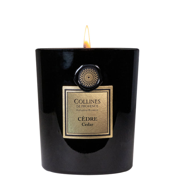 Collines de Provence Duftkerze Zeder 360 g