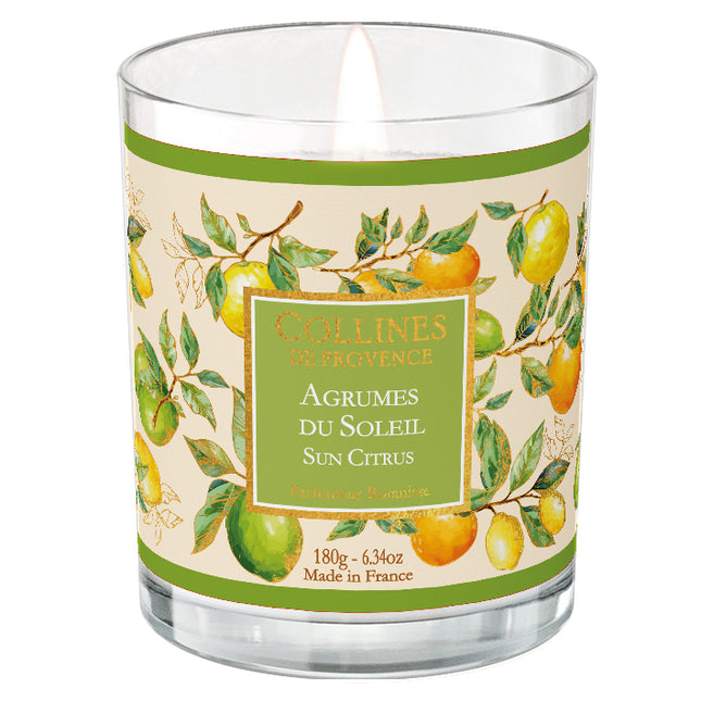 Collines de Provence Duftkerze Zitrusfrüchte der Sonne 180g