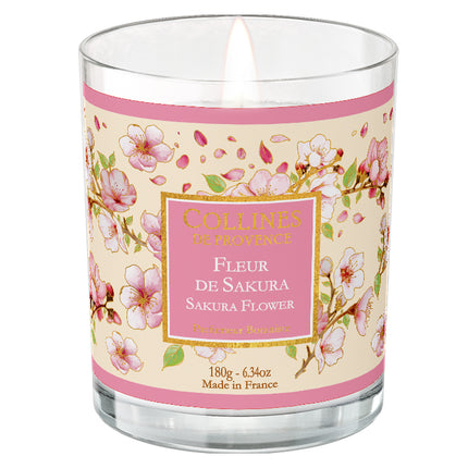 Collines de Provence Duftkerze Sakura Blume 180 g