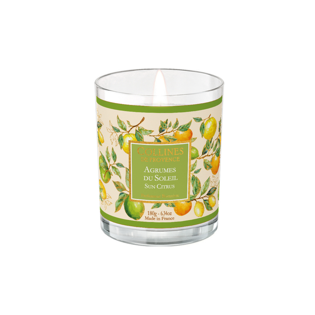 Collines de Provence Duftkerze Zitrusfrüchte der Sonne 180g