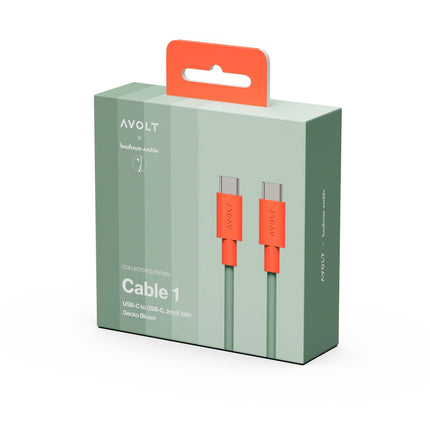 AVOLT Kabel USB-C zu USB-C Cable 1 Bauhaus-Archiv Gecko Bloom