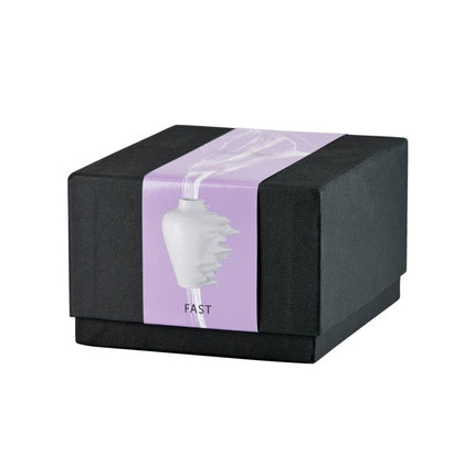 Geschenkkarton Rosenthal Vase Fast