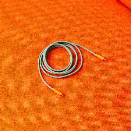 AVOLT Kabel USB-C zu USB-C Cable 1 Bauhaus-Archiv Gecko Bloom