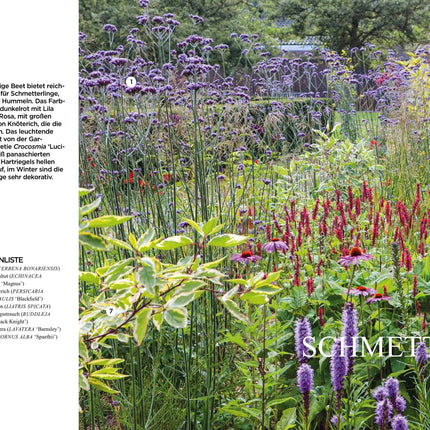 Blütenpracht. Der Weg zum Traumgarten